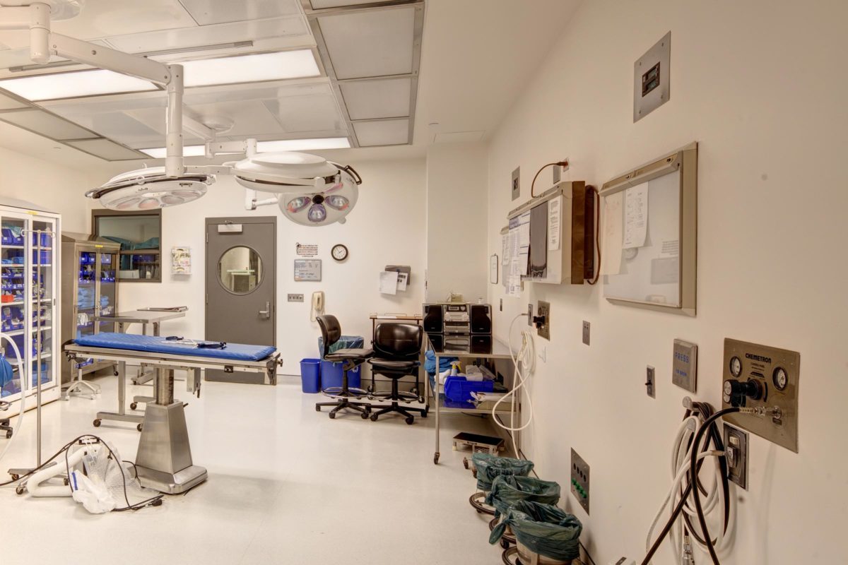 College of Veterinary Medicine Surgical Skills Lab - SWBR